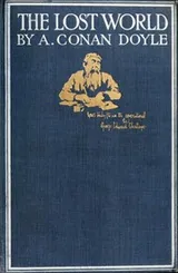 Cover of The Lost World