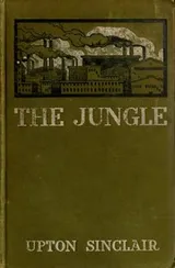 Cover of The Jungle