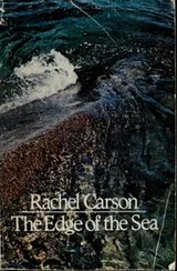 Cover of The Edge of the Sea