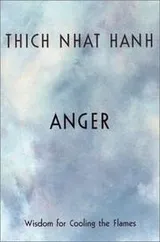 Cover of Anger