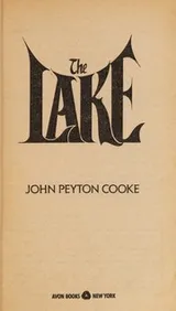 Cover of The lake