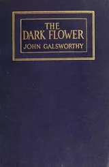 Cover of The Dark Flower