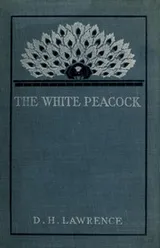 Cover of The white peacock