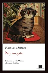 Cover of Soy un gato