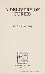Cover of A Delivery of Furies