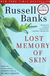 Cover of Lost Memory of Skin