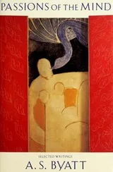 Cover of Passions of the mind