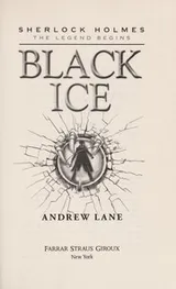 Cover of Black ice