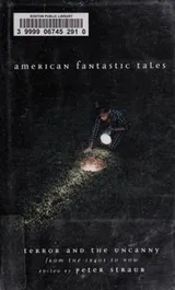 Cover of American fantastic tales
