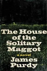 Cover of The house of the solitary maggot
