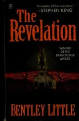 Cover of The revelation