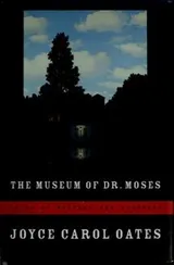 Cover of The Museum of Dr. Moses