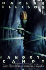 Cover of Angry candy