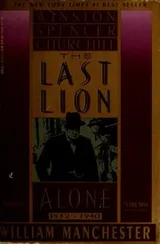 Cover of The Last Lion: Winston Spencer Churchill; Alone
