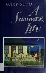 Cover of A summer life