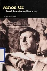 Cover of Israel, Palestine and Peace