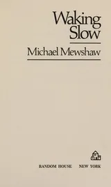 Cover of Waking slow