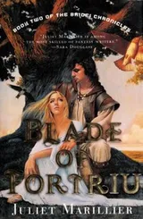 Cover of Blade of Fortriu (The Bridei Chronicles, Book 2)