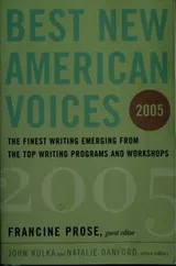 Cover of Best New American Voices 2005