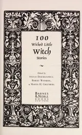 Cover of 100 wicked little witch stories