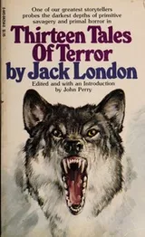 Cover of Thirteen Tales of Horror