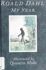 Cover of My year
