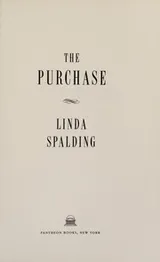 Cover of The Purchase