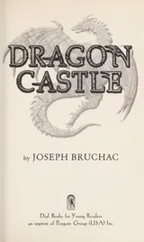 Cover of Dragon castle