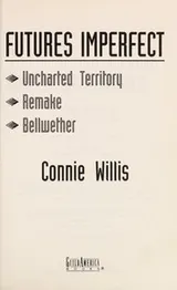 Cover of Futures imperfect