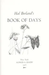 Cover of Book of days