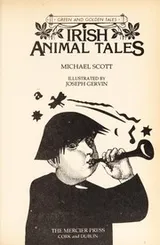 Cover of Irish animal tales