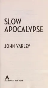 Cover of Slow apocalypse