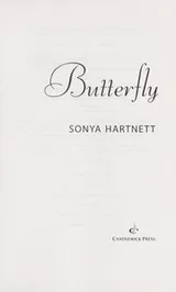 Cover of Butterfly