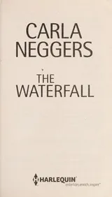 Cover of The waterfall