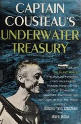Cover of Captain Cousteau's underwater treasury