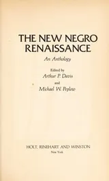Cover of The new Negro renaissance : an anthology