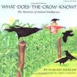 Cover of What does the crow know?
