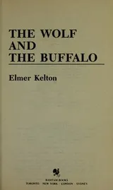 Cover of The wolf and the buffalo