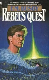 Cover of Rebel's Quest