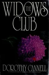 Cover of The widows club