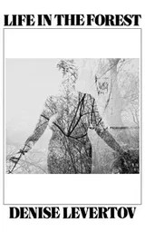Cover of Life in the forest