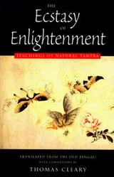 Cover of The ecstasy of enlightenment