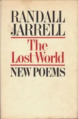 Cover of Lost World