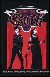 Cover of What is Goth?