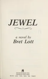 Cover of Jewel : a novel