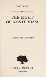 Cover of The Light of Amsterdam