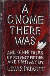 Cover of A gnome there was