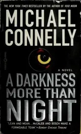 Cover of A darkness more than night