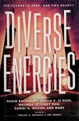 Cover of Diverse energies