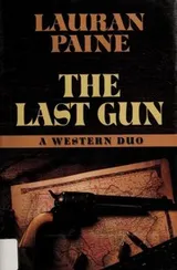 Cover of The Last Gun